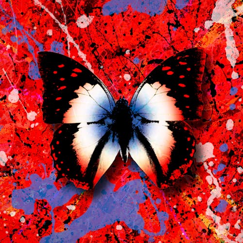 2step  - Ed Sheeran (feat. Budjerah)