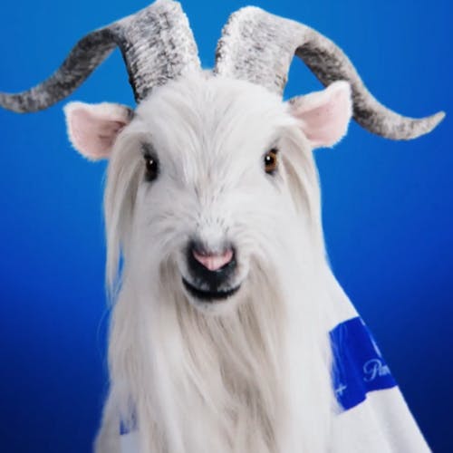 Paramount+ Australia: Ballad of the GOATS