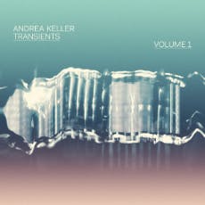 Transients Vol.1