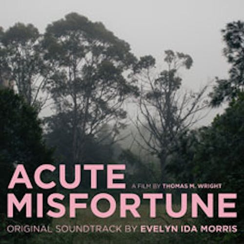 Acute Misfortune (Original Soundtrack)