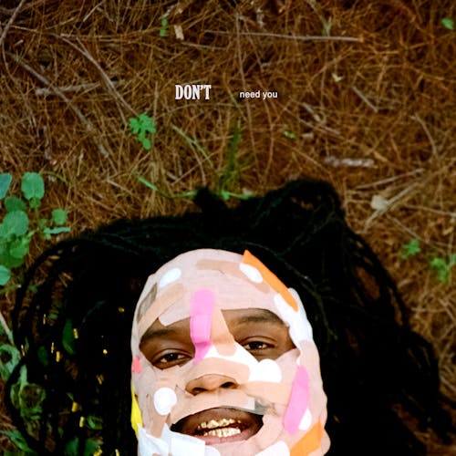 Don't Need You
