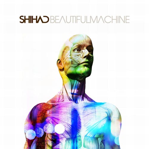 Matt Lovell, Shihad