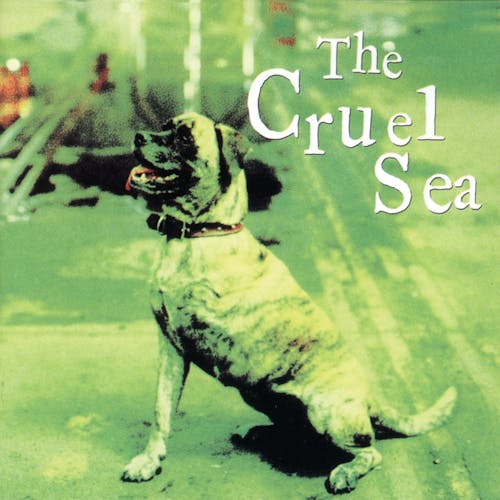 The Cruel Sea, Kristyna Higgins, Jim Paton
