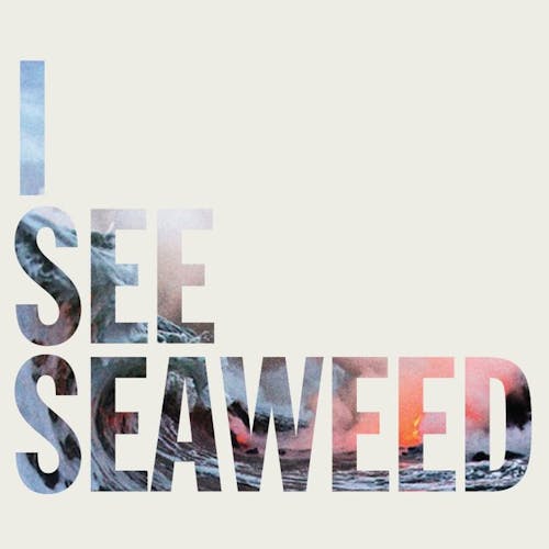 I See Seaweed Tour:  Apr 2013