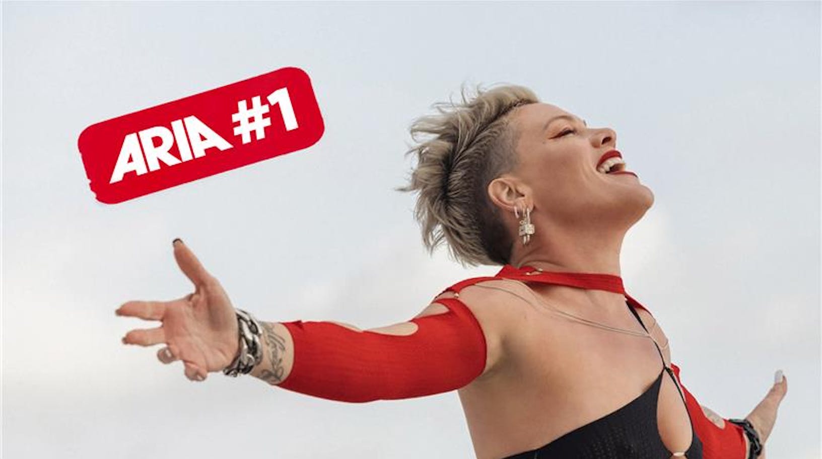P!nk powers up the Albums Chart 