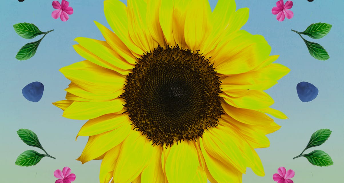 2024 ARIA Core Classical Albums Chart